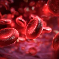 Hématologie & Immunologie